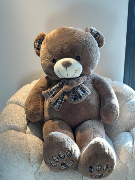 دب 1,50 مع ببيونه